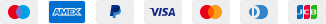 Card Payments Footer Card Payments Footer